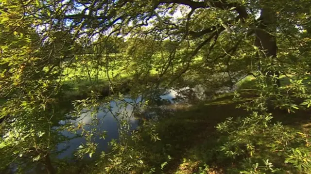 River at Stratford-upon-Avon