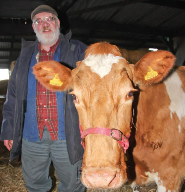 Farmer Chris Nightingale with a cow