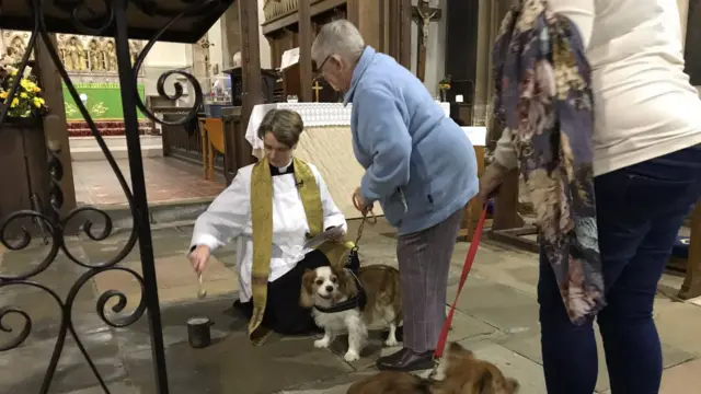 Pets at church