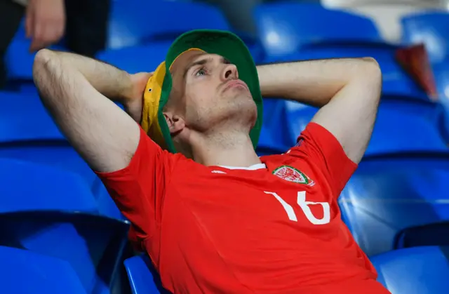 Wales fan looks dejected