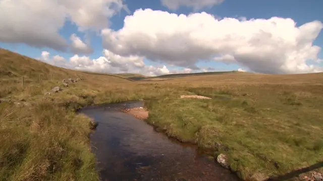 Dartmoor