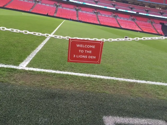 Wembley pitch