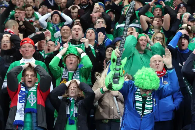 Northern Ireland fans