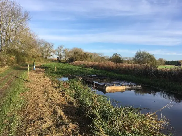 Part of the canal which has been dredged.