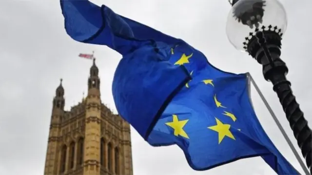 Parliament and EU flag