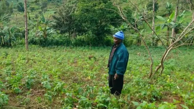 Peter stands in a field of his crops