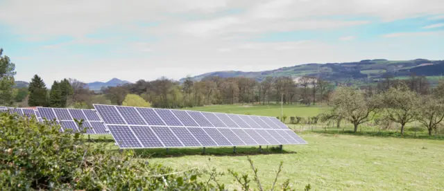 Solar panels in a field