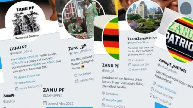 Composite of various Zanu-PF Twitter account pages