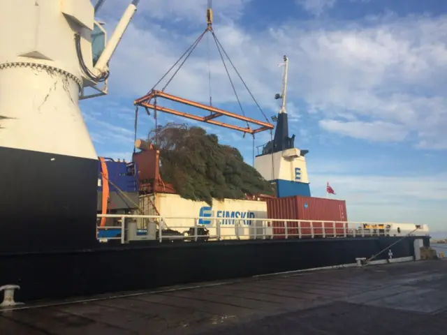 Container ship with giant Christmas tree on it.