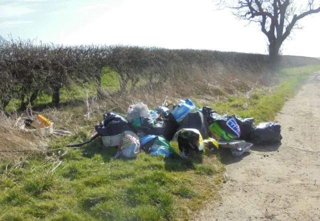 Bags of rubbish on a grass verge.