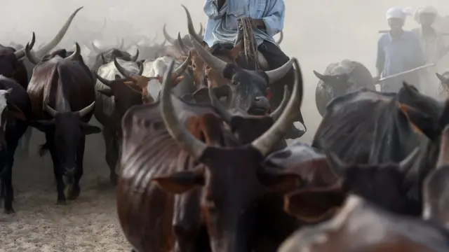 Fulani herdsmen