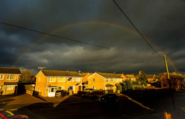 ripley rainbow