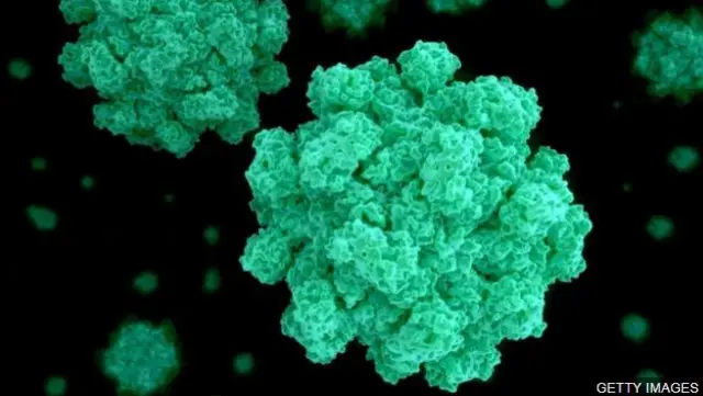 Norovirus