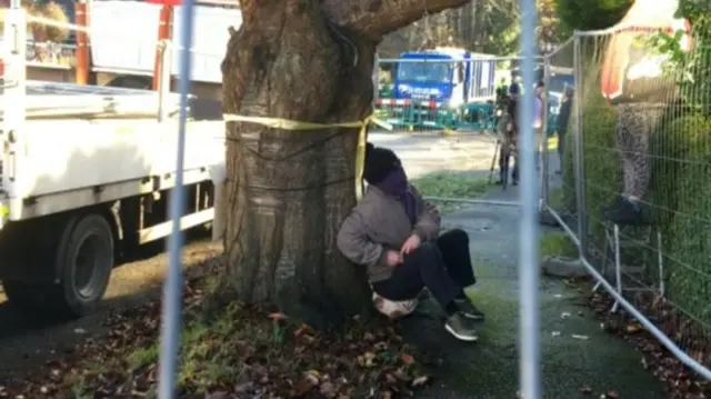 Tree protestor