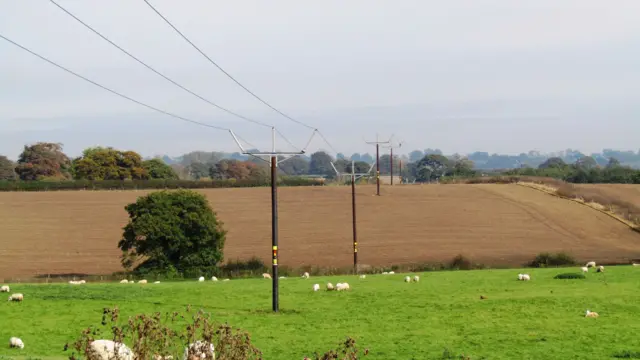 An example of the wooden poles to carry power lines