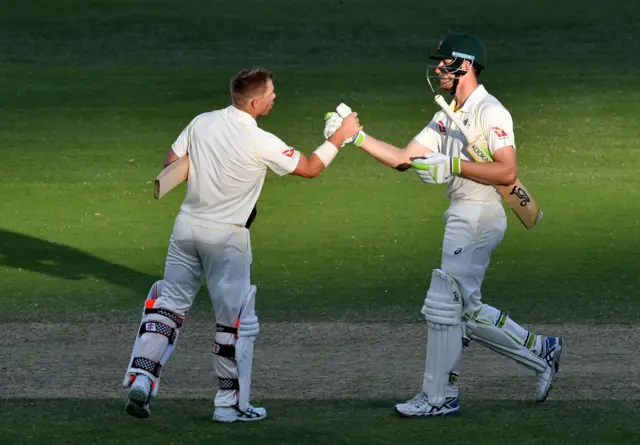 David Warner and Cameron Bancroft