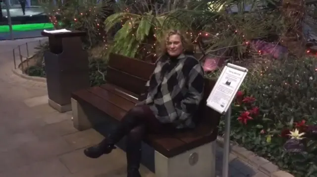 Bench in the winter garden