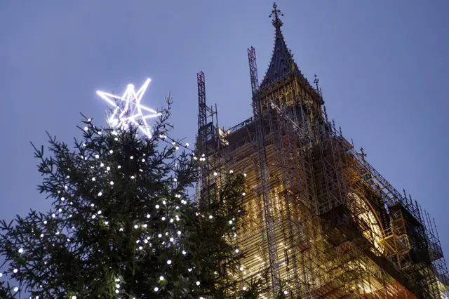 Houses of Parliament Christmas tree