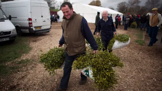 Buyers carry away their Mistletoe bundles at a previous auction in Tenbury