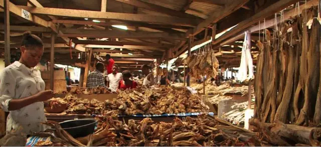 Stockfish in a Nigerian market