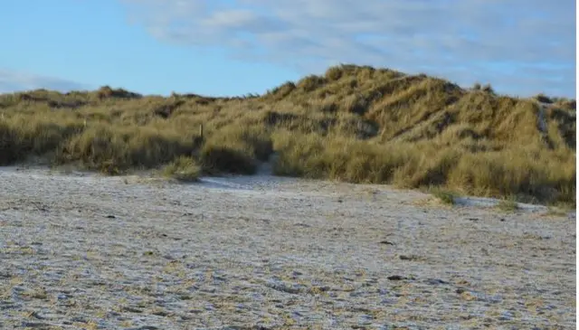 Sand dunes at Studland