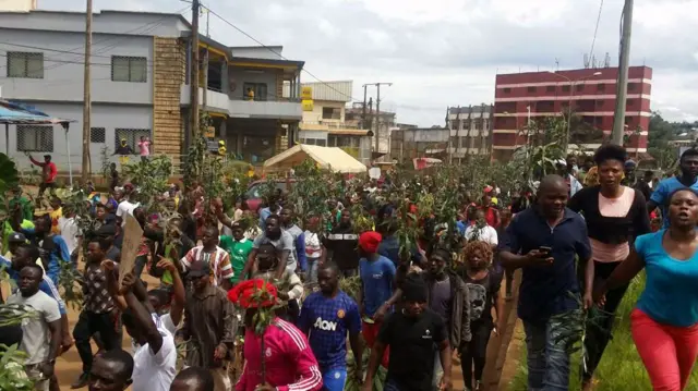 emonstrators march during a protest against perceived discrimination in favour of the country's francophone majority on 22 September 2017 in Bamenda