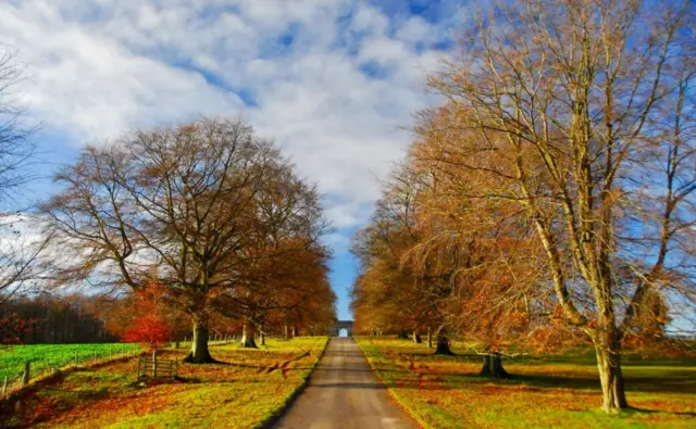 An autumnal Aberford