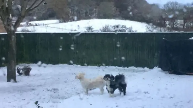 Playtime in the snow in Burniston