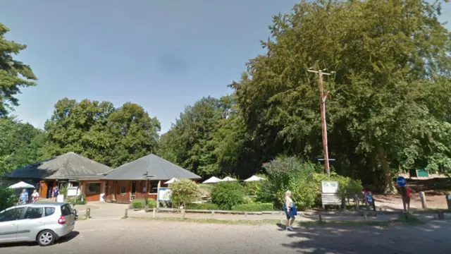 Brandon country park