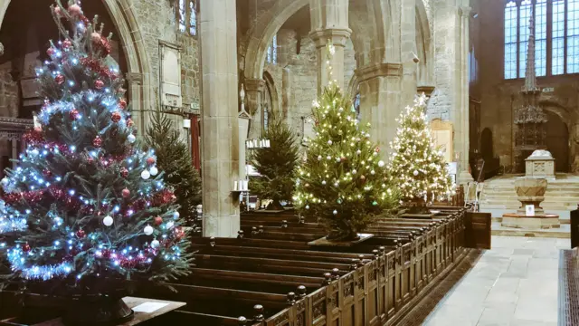 Christmas trees at Halifax Minster