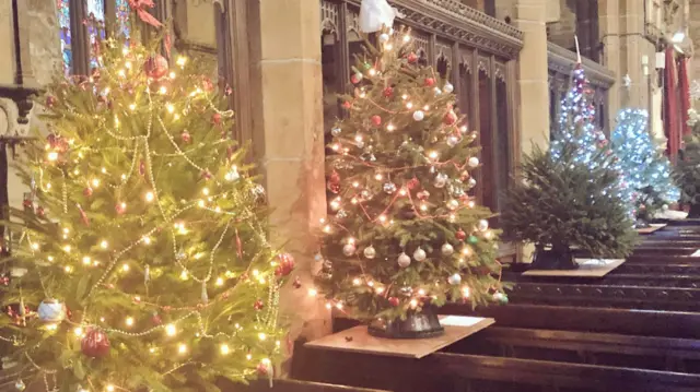 Christmas trees at Halifax Minster