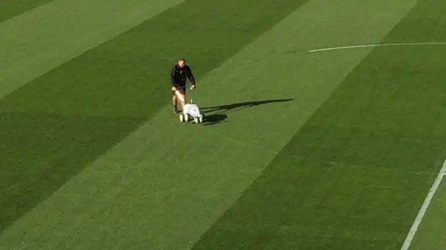 Exeter groundstaff mark the pitch