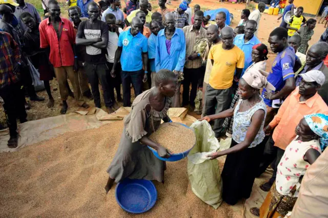 Newly arrived refugees from South Sudan receive a portion of sorghum at the Ngomoromo border post, in Ugandan side, on April 10, 2017.