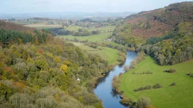 A view of autumnal trees at Symonds Yat