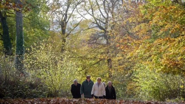 Walkers stroll through autumnal trees at Symonds Yat