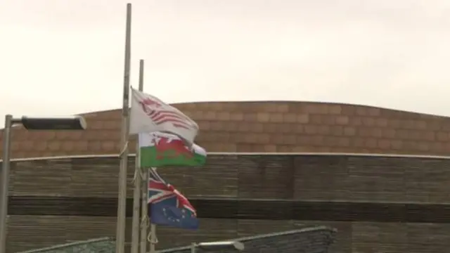 Senedd