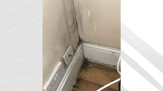 Mould in student house