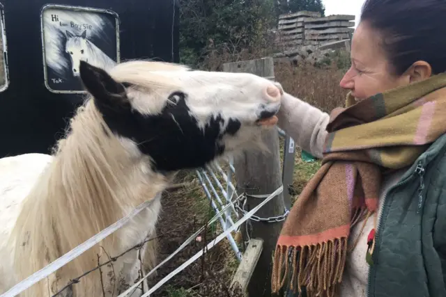 Rescued pony