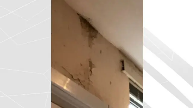 Flaking walls in student house