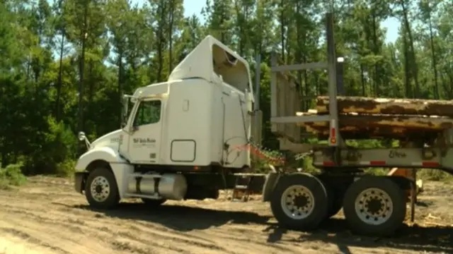 A lorry carrying logs.