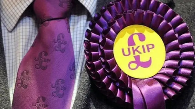 UKIP badge