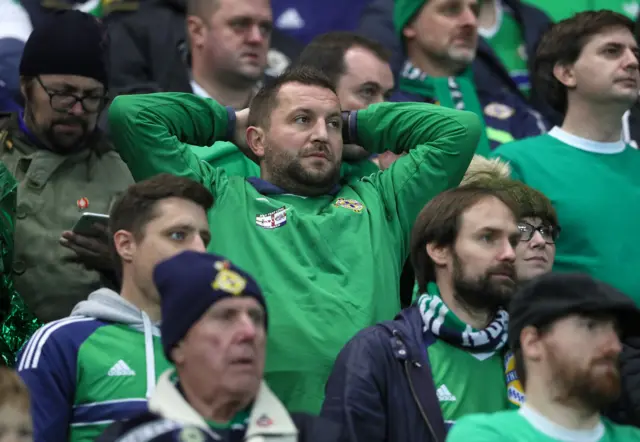 Northern Ireland fans