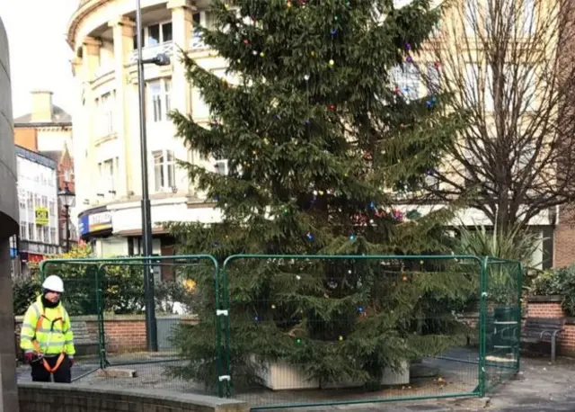 Tree and a small barrier