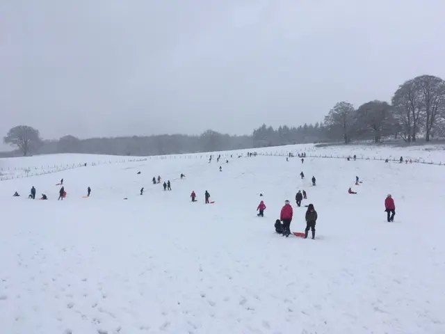 People sledging in the snow