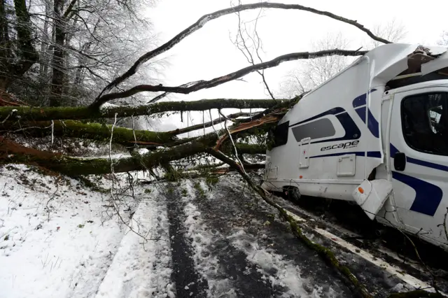 Campervan crushed by tree