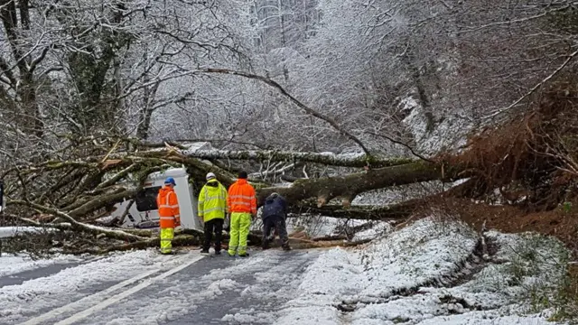 a tree falls on a van in Llandovery