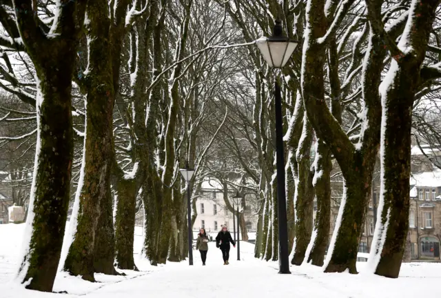 People walk between snow-covered trees