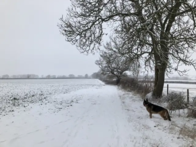 Snowy fields with dog in Castle Bytham, Lincolnshire