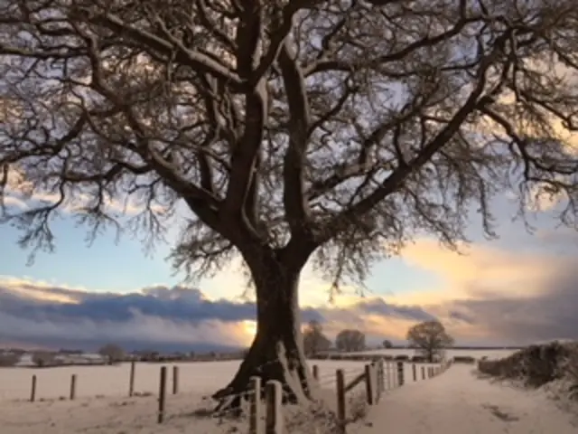 Snow in Baschurch, Shropshire