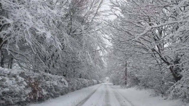 Snow in Kenilworth